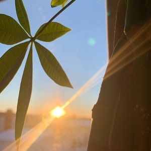 Meet your Posher, Simone